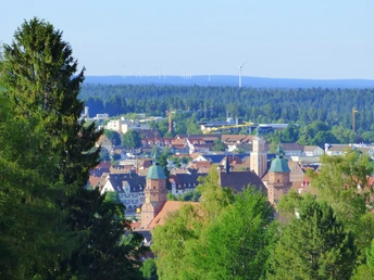 Blick auf Freudenstadt (Steinwaldstraße - Zoom)