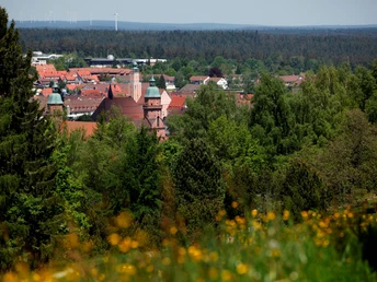 Blick vom Kienberg auf Freudenstadt mit Stadtkirche und Rathaus