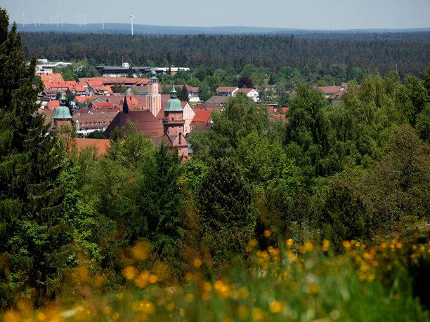 Blick vom Kienberg auf Freudenstadt mit Stadtkirche und Rathaus