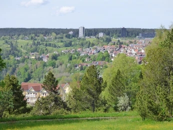 Ausblick von den Serpentinen zum Kienberg auf Freudenstadt (Zoom)