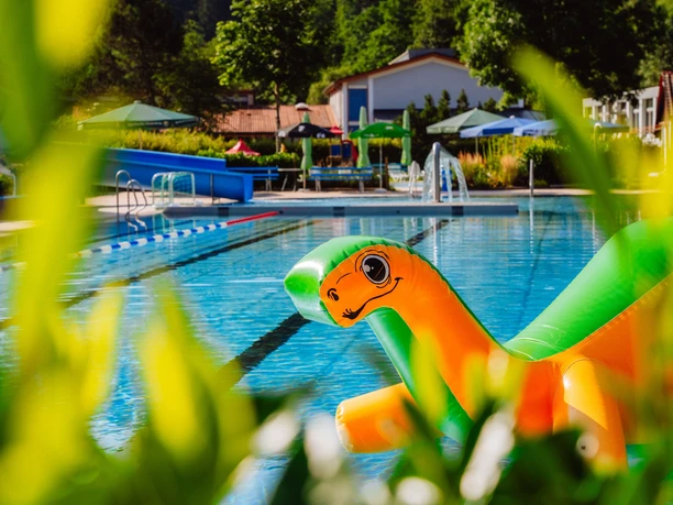 Becken mit Spieltier und Rutsche