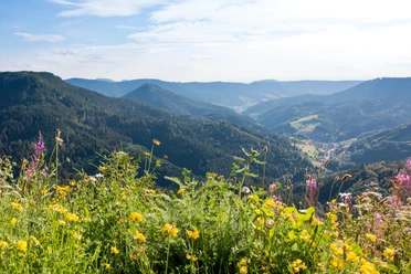 Blick vom Bauernkopf