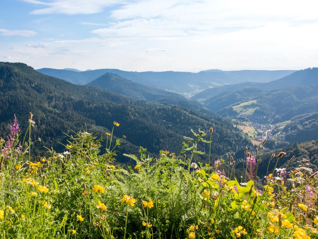 Blick vom Bauernkopf