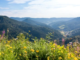 Blick vom Bauernkopf