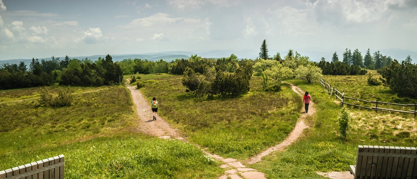 Zwei Personen wandern auf dem Schliffkopfgipfel