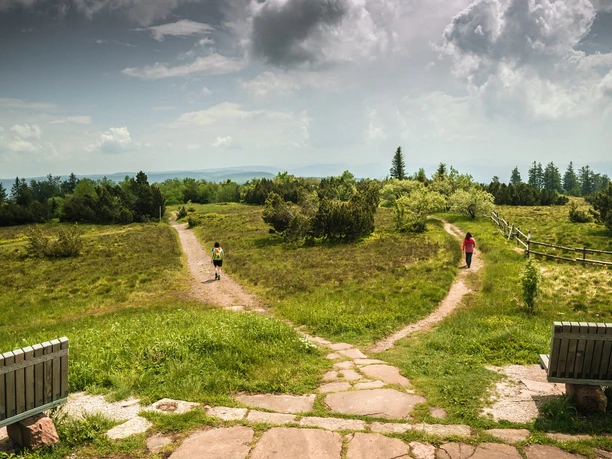 Zwei Personen wandern auf dem Schliffkopfgipfel