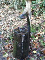 "Wasch"-Bär Brunnen