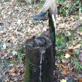 "Wasch"-Bär Brunnen