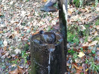 "Wasch"-Bär Brunnen