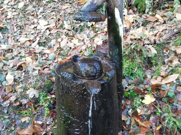 "Wasch"-Bär Brunnen