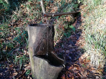 Brunnen mit stehender Astgabel