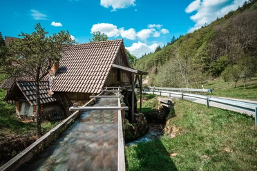 Benz-Mühle im Unterwasser