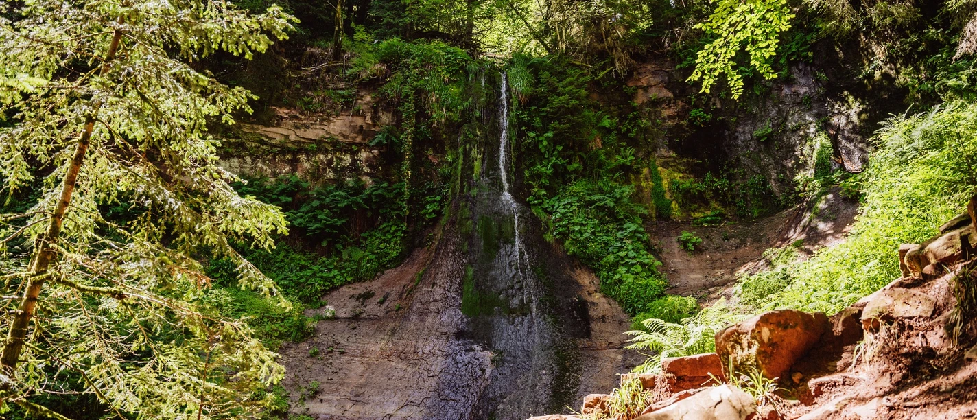 Sankenbachwasserfall in Baiersbronn