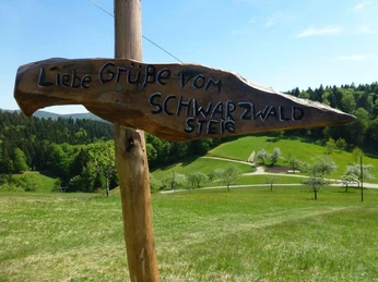 Fotostation am Schwarzwaldsteig