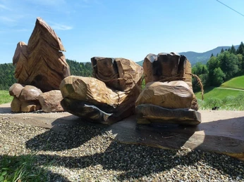 Fotostation am Schwarzwaldsteig