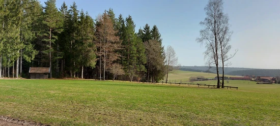 Liegewiese am Waldrand von Igelsberg