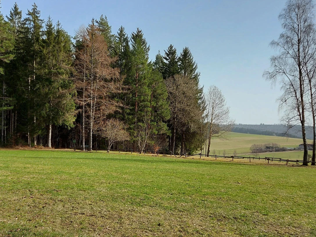 Liegewiese am Waldrand von Igelsberg
