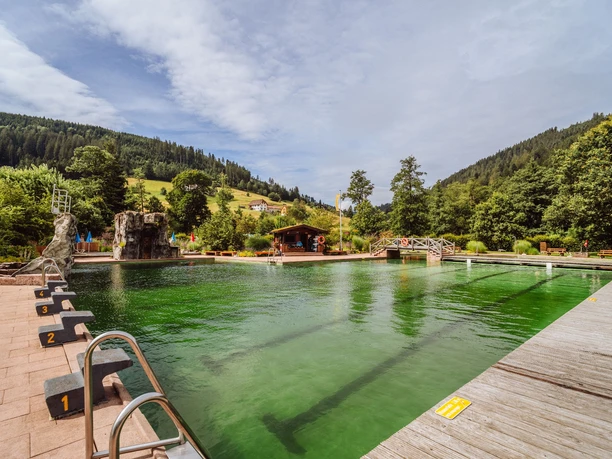 Schwimmerbecken im Naturbad