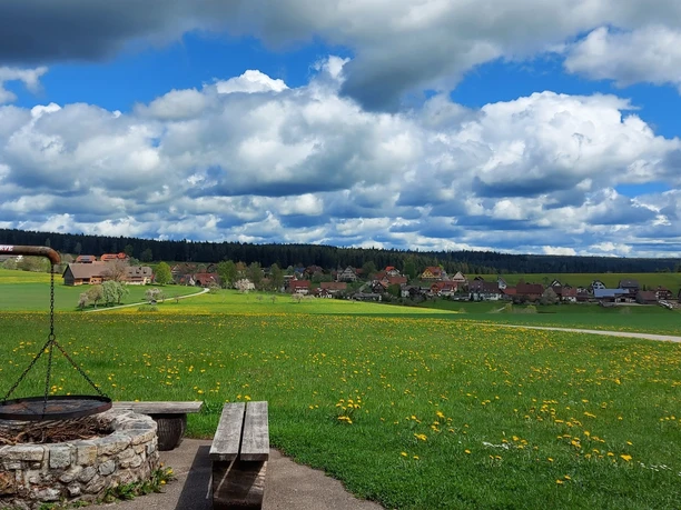 Grillstelle Rappenhütte bei Igelsberg