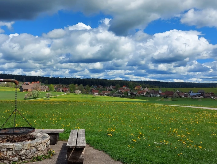 Grillstelle Rappenhütte bei Igelsberg
