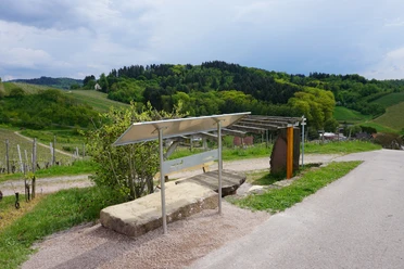 Aussichtspunkt Herztaler Reben