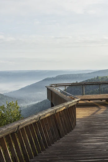 Aussichtsplattform am Ellbachseeblick