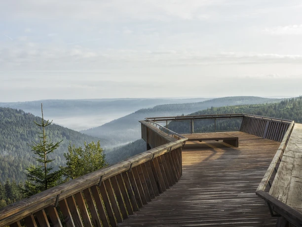 Aussichtsplattform am Ellbachseeblick