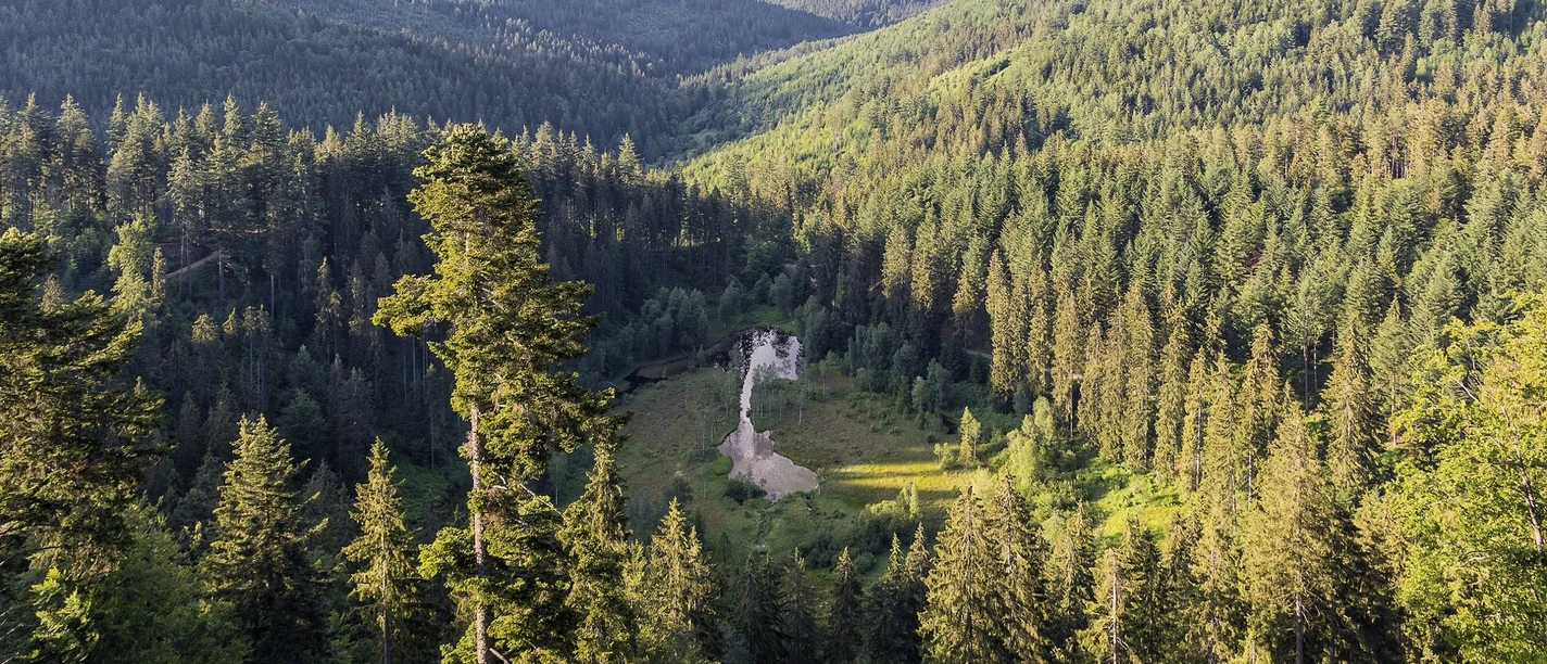 Ellbachseeblick Ellbachseeblick