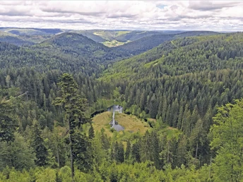 Ellbachseeblick Plattform Blick auf Ellbach herab