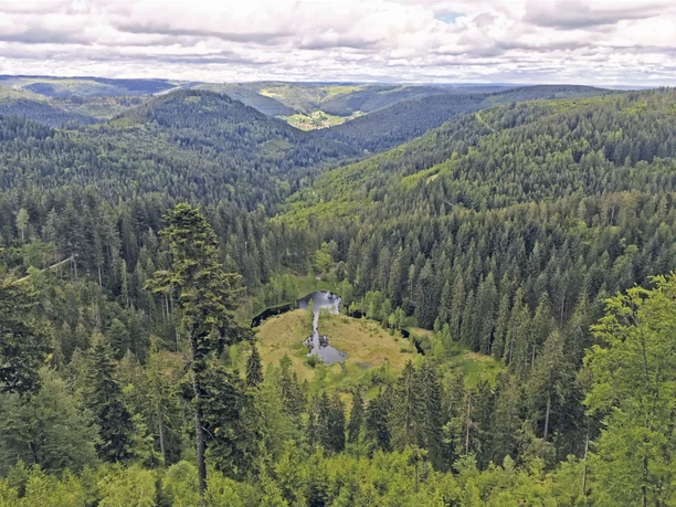 Ellbachseeblick Plattform Blick auf Ellbach herab