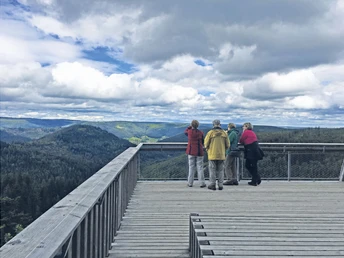 Ellbachseeblick Plattform