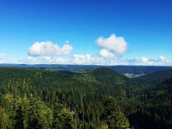 Ellbachsee Aussichtsplattform - Blick in den Schwarzwald