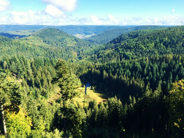 Ellbachsee Aussichtsplattform - Blick auf Ellbachsee
