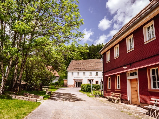 Kulturpark Glashütte Buhlbach