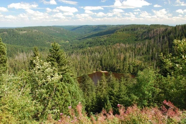 Wilder See Blick