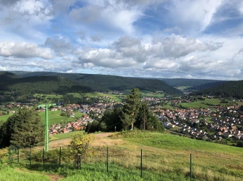 Aussicht vom Baiersbronner Hausberg Stöckerkopf