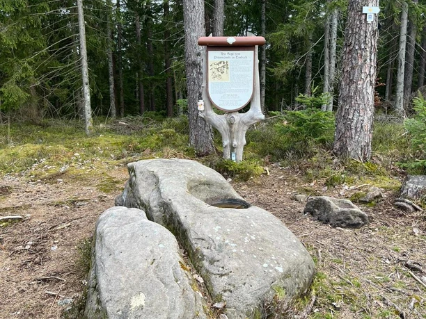 Gipfeldose am Petermännle