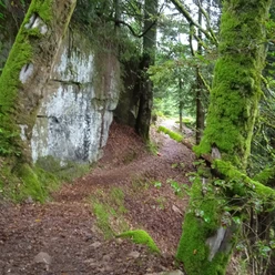Gipfeldose an der Kanzel in Tonbach
