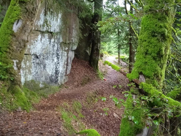 Gipfeldose an der Kanzel in Tonbach