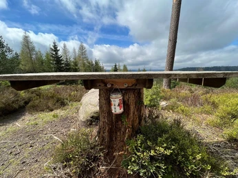 Gipfeldose am Priorstein