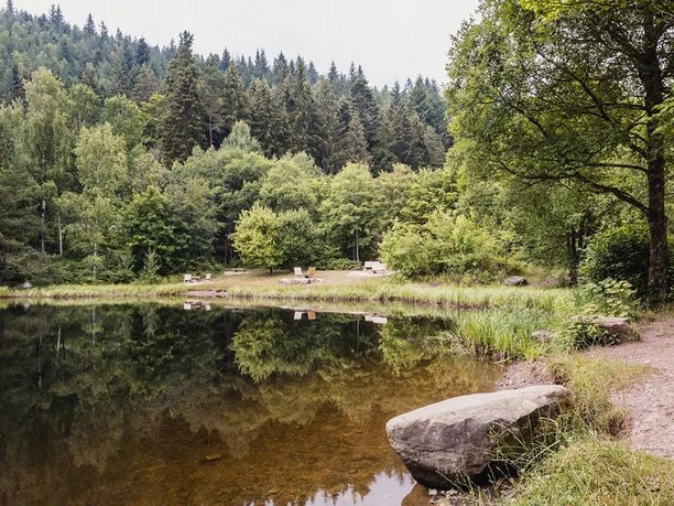 Das Ufer des Sankenbachsees