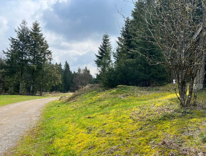 Gipfeldose an der Bismarckhütte auf dem Guldenberg