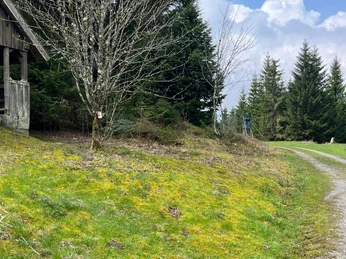 Gipfeldose an der Bismarckhütte auf dem Guldenberg