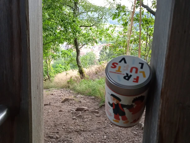 Gipfeldose an der Sommerseite