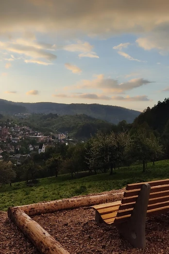 Forbach - Aussicht vom Hasenbuckelweg mit Ruhebänken