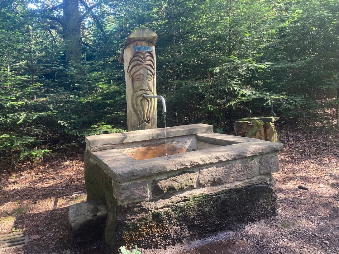 Elme Brunnen