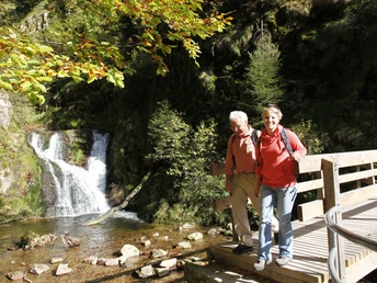Wasserfälle Allerheiligen