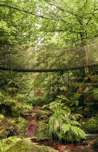 Hängebrücke in Friedrichstal