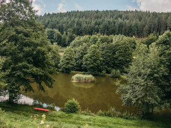 Teich an der Fischerhütte in Friedrichstal