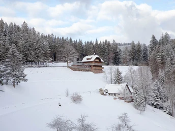 Bad Peterstal-Griesbach/Renchtalhütte (Einkehrmöglichkeit)